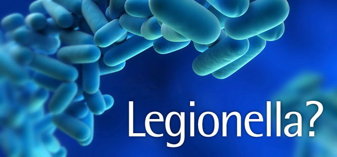 copyright © antalyalab.com