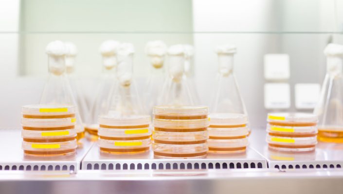 copyright © antalyalab.com