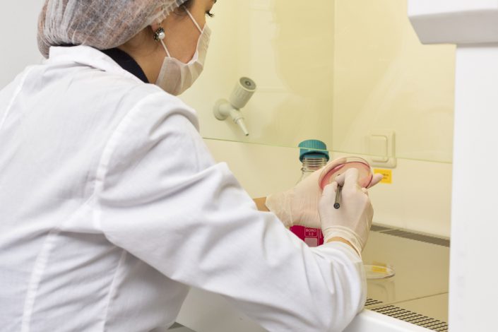 copyright © antalyalab.com