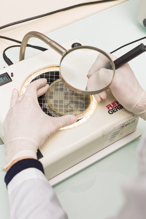 copyright © antalyalab.com