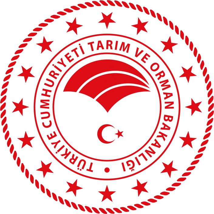 copyright © antalyalab.com