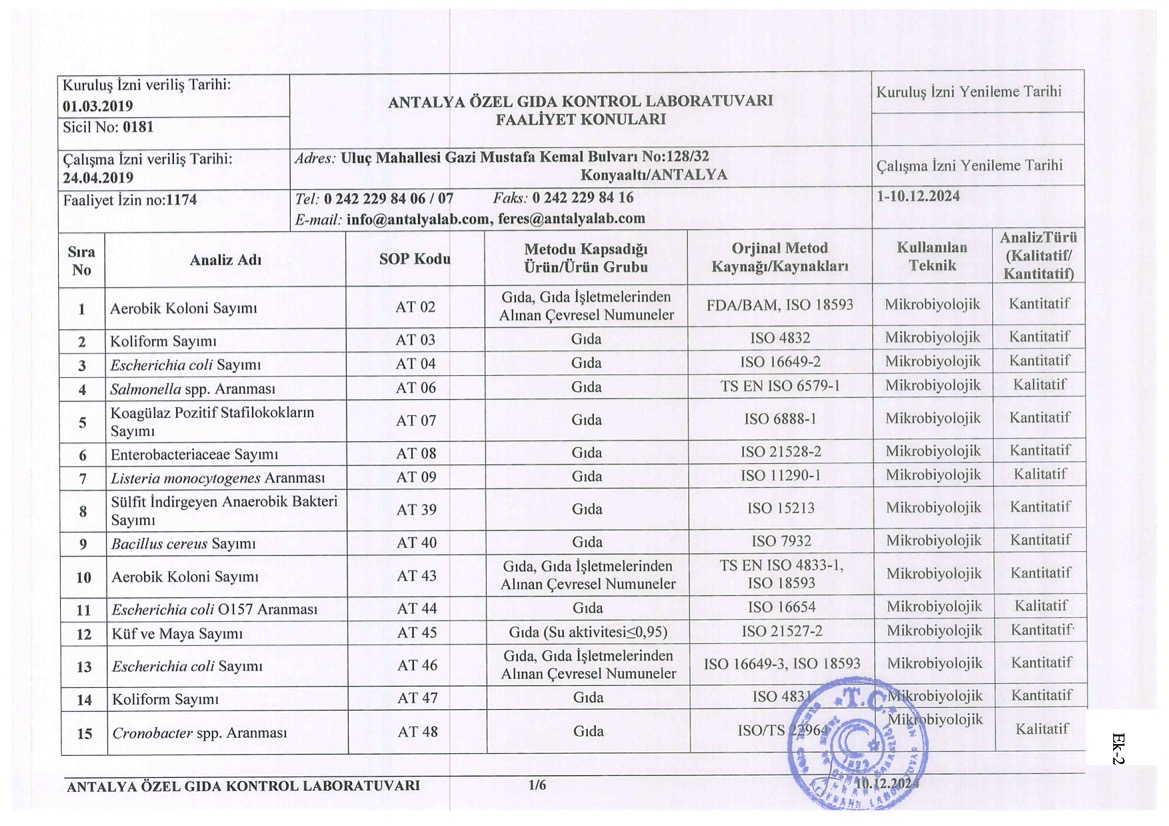 copyright © antalyalab.com