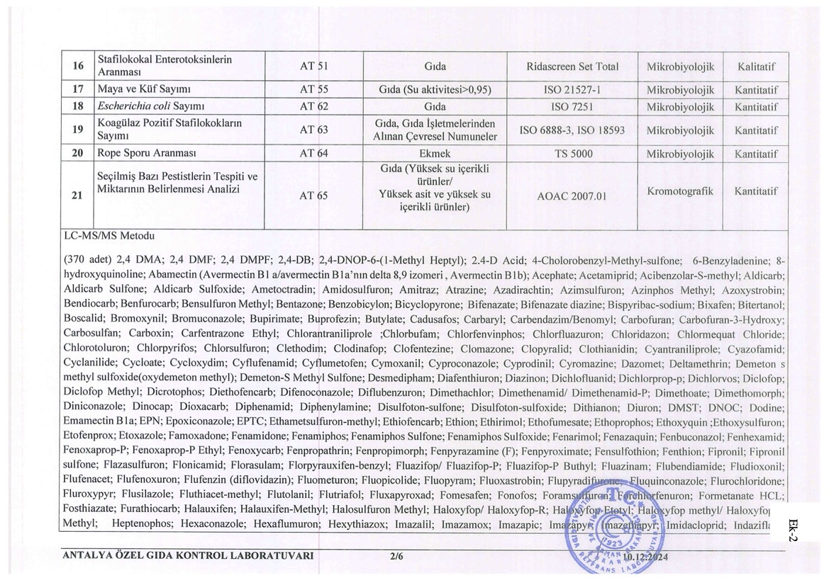 copyright © antalyalab.com