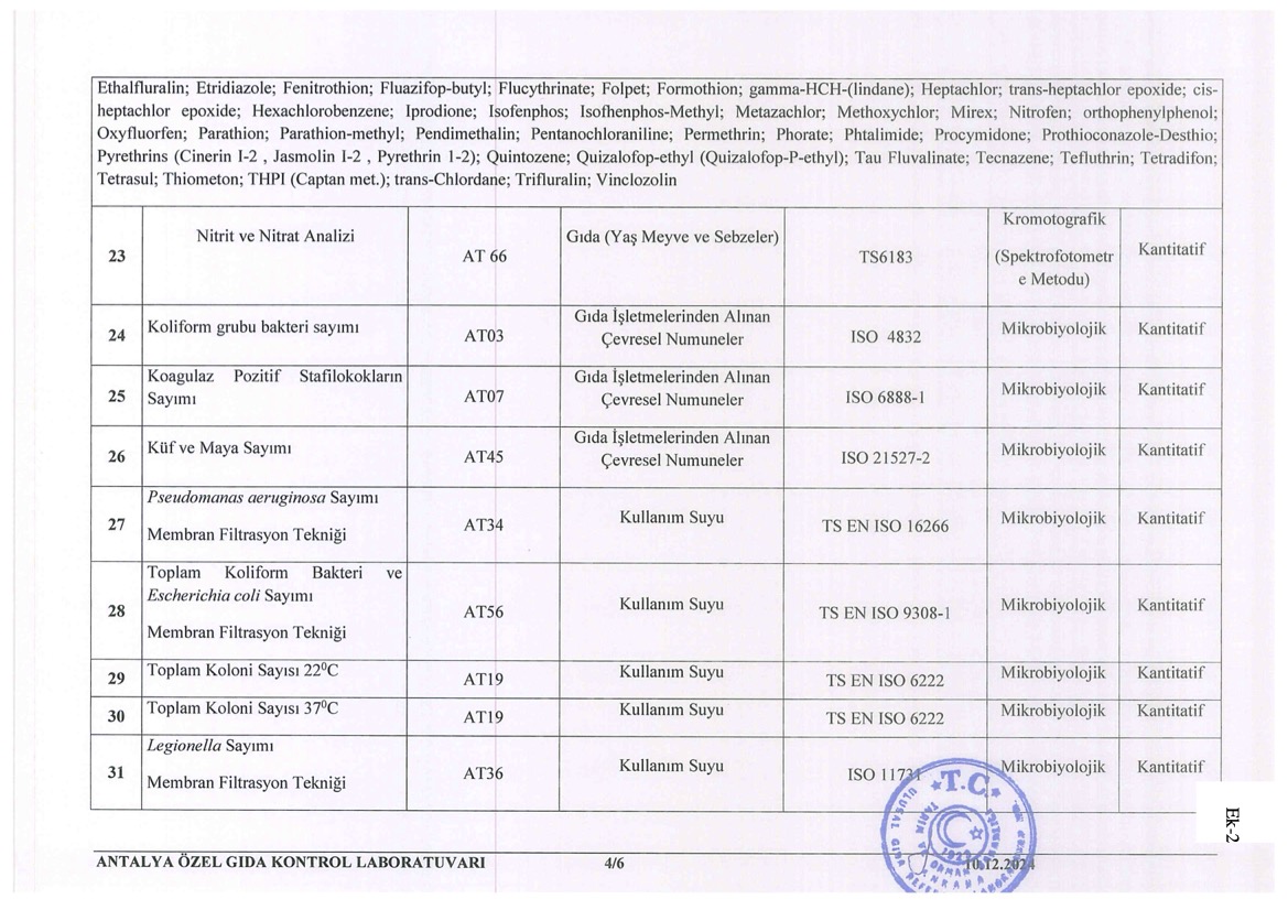 copyright © antalyalab.com